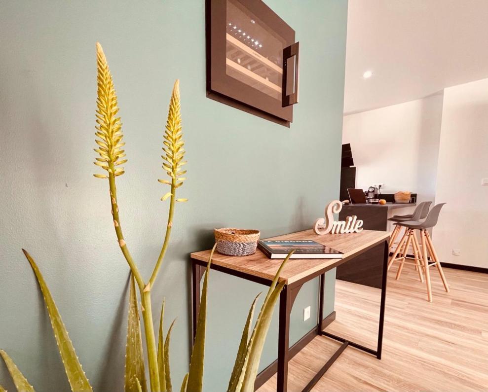 Vensac Villashomeclet - Villa Palm Beach מראה חיצוני תמונה