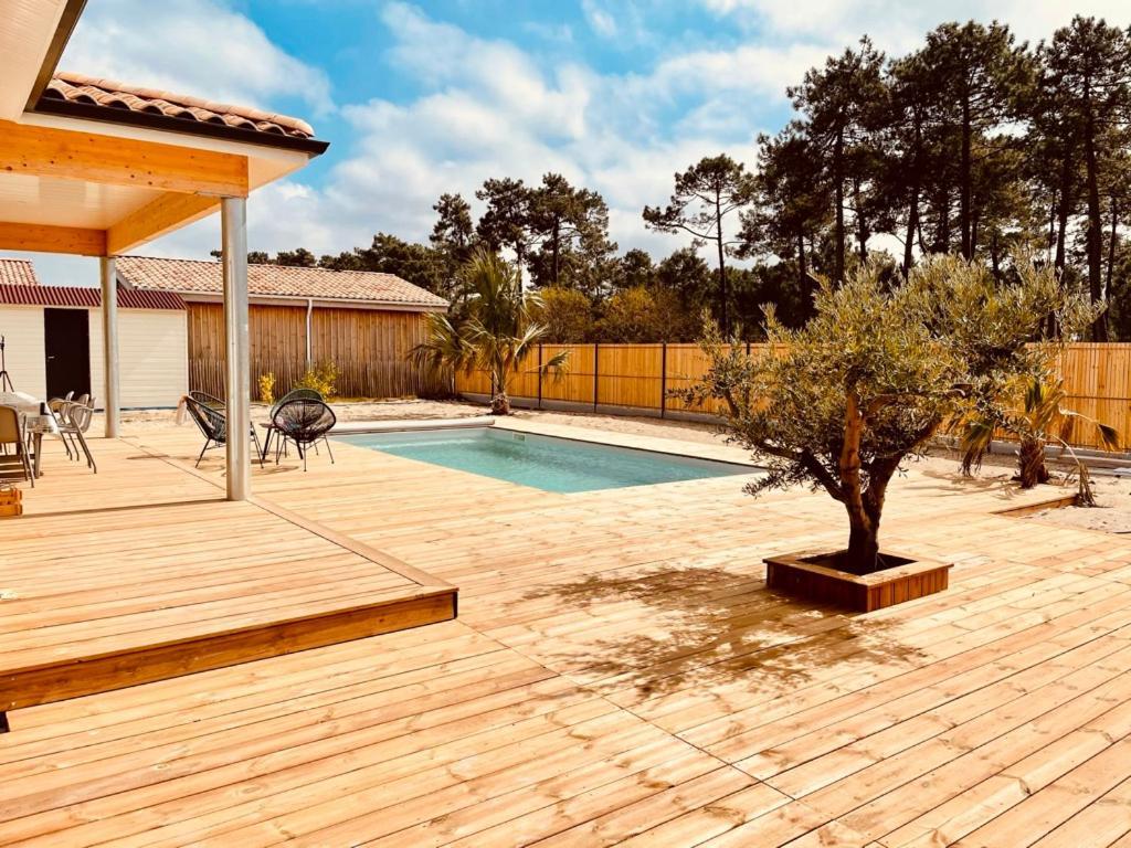 Vensac Villashomeclet - Villa Palm Beach מראה חיצוני תמונה